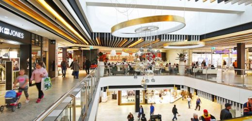 Picking the Right Shopping Center for Your Needs