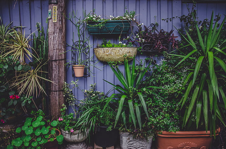 Why is it essential to have an indoor garden?